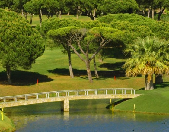 <p>Pinheiros Altos is established as one of the most prestigious and successful premier golf and leisure resorts in Europe, and owns a 27 hole Championship golf course. The original 18 holes were designed by the respected American architect Ronald Fream and the additional 9 holes, created by the highly regarded Portuguese golf architect George Santana da Silva, opened in 2007. The 27 hole Championship Pinheiros Altos Golf is presented in three contrasting nine hole formats. All nine holes have their starting and finishing points in close proximity to the beautiful Pinheiros Altos Clubhouse. Each hole has four starting tees The white and yellow tees represent the championship and medal tees respectively for the men, the red and blue tees for the ladies. Firm, Fast and Testing Greens The firm, fast and testing greens, sown with Pentcross Bent and combined with the Bermuda fairway grass, provide resilient and excellent surfaces on which to play golf and make Pinheiros Altos a must play course when visiting the Algarve.</p>