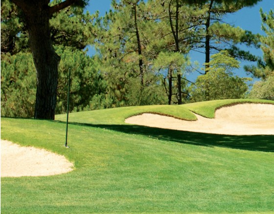 <p>The San Lorenzo Golf Course was opened in 1988 and takes advantage of wonderful topography on the Quinta do Lago estate, winding its way gently over undulating pine woodland. The 18 holes lie in the unspoilt South east corner of Quinta do Lago, bordering the Ria Formosa Estuary and salt water lagoons. The San Lorenzo Golf Course is laid out in a figure of eight and at the heart lies the San Lorenzo club house with golf pro shop comfortable changing facilities welcoming bar and restaurant.  </p>