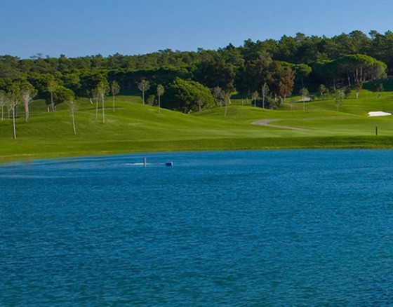 <p>Laranjal opened in 2009 and was voted Best Golf Course at the 2011 Portuguese Travel Awards. Originally an orange grove, the par 72 championship course is situated 2 km east of the resort, in the Ludo Valley. Boasting spectacular fairways and welldefined greens, Laranjal is renowned for its five beautiful lakes, umbrella pines, corkoaks and orange trees. At 6,480 metres in length, the challenging course demands the highest level of concentration and accuracy. Its distinctive rolling terrain has been expertly designed and manicured to provide a worldclass golfing experience. Featuring five par 5s, eight par 4s and five par 3s, the course is sown with Bermuda grass on the fairways and Penn A4 on the greens, ensuring excellent putting surfaces throughout the year. At 6,480 metres in length, the challenging course demands the highest level of concentration and accuracy. Its distinctive rolling terrain has been expertly designed and manicured to provide a worldclass golfing experience. Comprised of five par 5s, eight par 4s and five par 3s, the crown is sown with Bermuda grass on the fairways and Penn A4 on the greens. Throughout the year, we guarantee excellent putting surfaces.</p>