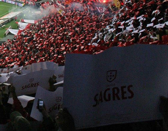 benfica-match