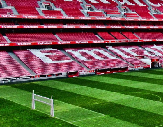 Tour the famous Stadium of Light in Benfica Lisbon,