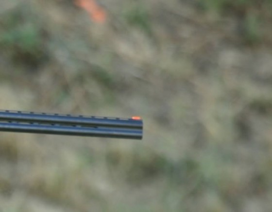 clay-pigeon-shooting