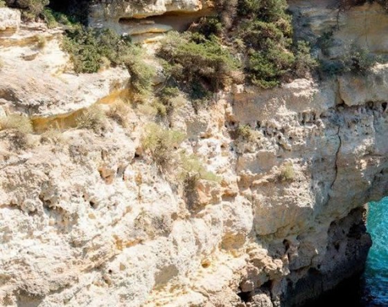 Enjoy a 2 hour cruise and sail along the Albufeira coast and visit the caves.