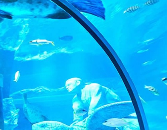 sea-life-aquarium