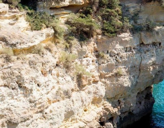 Enjoy a 1/2 day cruise and sail along the Vilamoura coast and visit the caves.